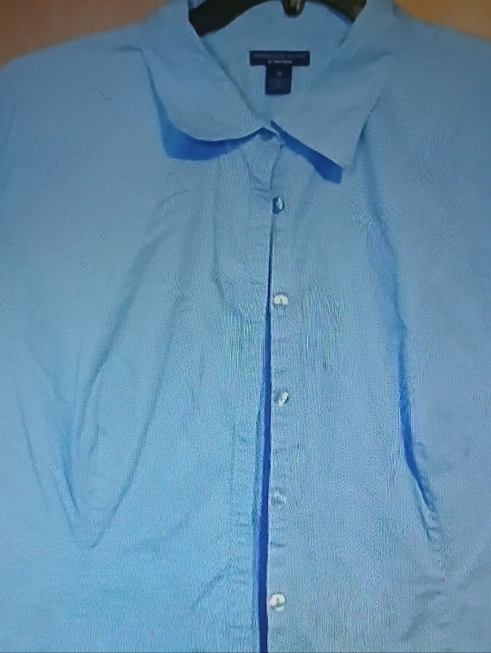 Light Blue Women’s Button-Up Blouse with Point Collar